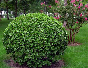 冬季羽絨服定制